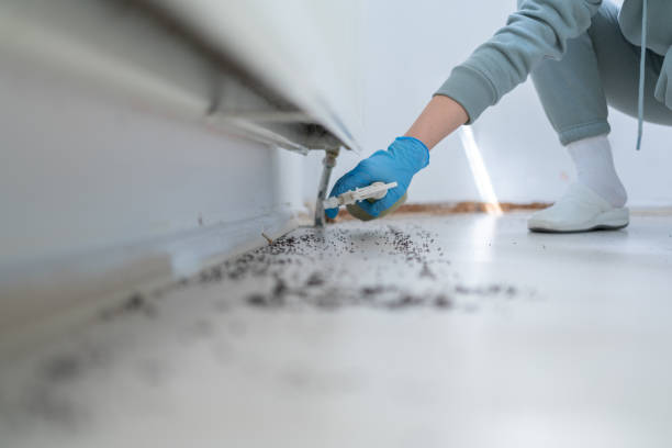 Trusted Mechanicville, NY Pest Control Experts